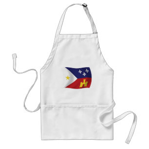 Acadiana Flag Förkläde