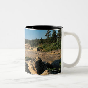 Acadianationalpark, Maine 2 Två-Tonad Mugg