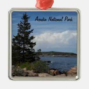 Acadianationalpark, Maine Julgransprydnad Metall