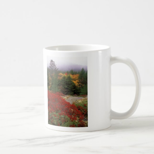 Acadianationalparklövverk Kaffemugg (Höger)