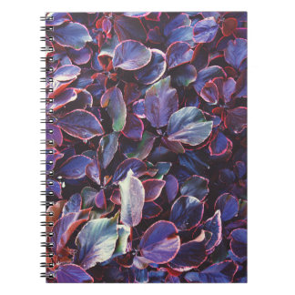 Acalypha Wilkesiana Anteckningsbok