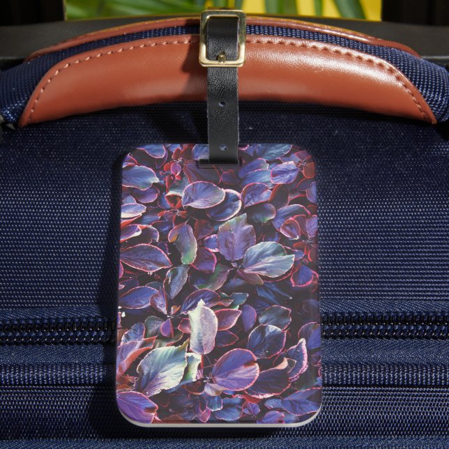 Acalypha Wilkesiana Bagagebricka (Framsida Insitu 2)