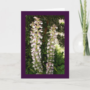 Acanthus-Blommar Kort