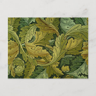 Acanthus-vykort Vykort