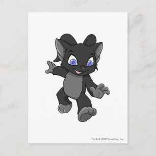 Acara Shadow Vykort