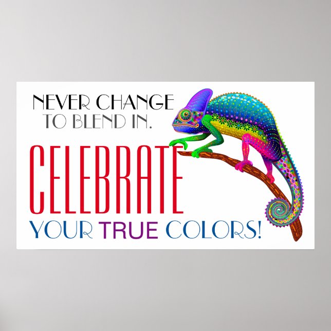 Acceptans för att uppmuntra mångfald Poster (Framsidan)