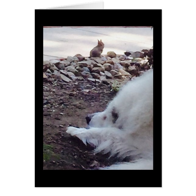 Acceptkort Hälsningskort (Framsidan)