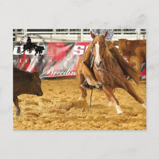Accessoires Cabernet CHA Carte Postale 5 Vykort