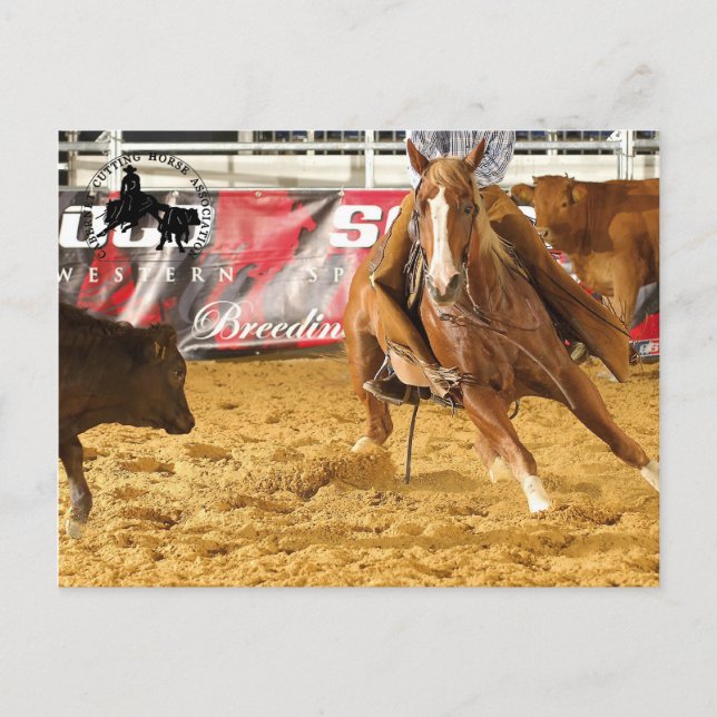 Accessoires Cabernet CHA Carte Postale 5 Vykort (Framsida)