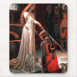 Accolade - norska skogskatten musmatta