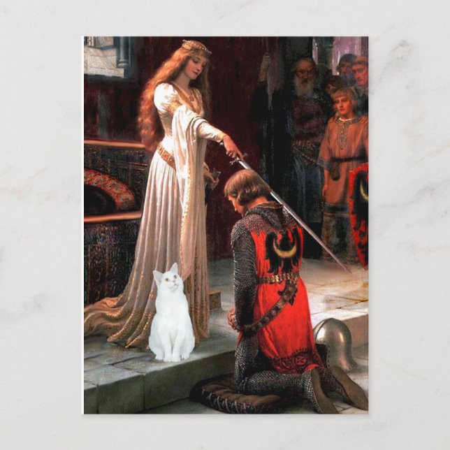 Accolade - vit katt vykort (Framsida)