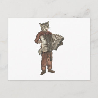 Accordion Cat Vykort