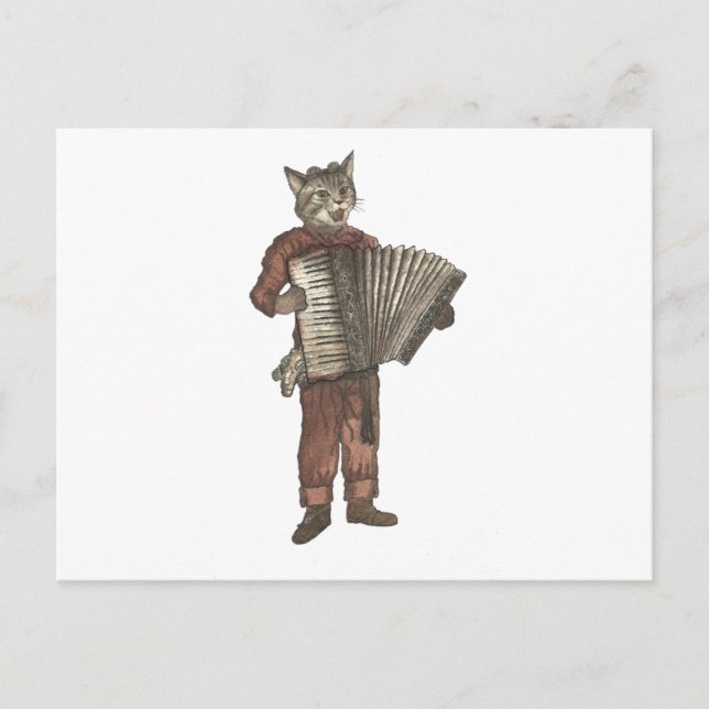 Accordion Cat Vykort (Framsida)
