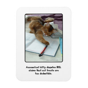 Accountant Kattunge Magnet