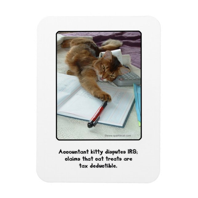 Accountant Kattunge Magnet (Vertikal)