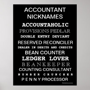 Accountant Nickname Motivational Poster