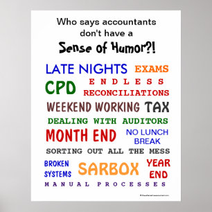 Accountant Sense of Humor Funny Motivational Poster