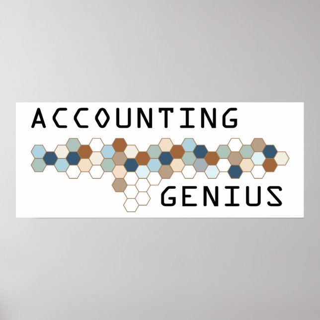 Accounting Genius Poster (Framsidan)