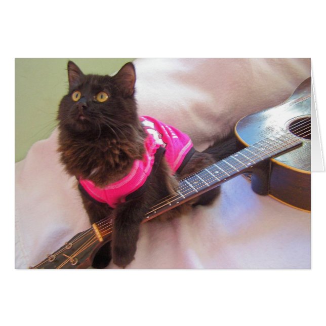 ACDC-skjortkatt Hälsningskort (Framsidan Horizontal)