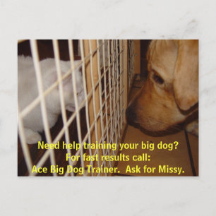 Ace Big Hund Trainer Vykort