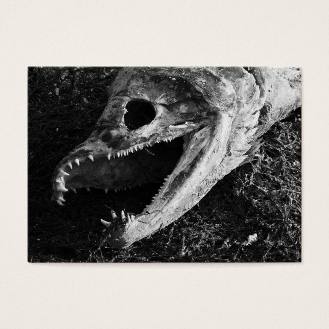 ACEO Rotting Salmon Fish Head Black & White Visitkort (Framsidan)