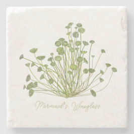 Acetabularia Sjögräs Stone Underlägg