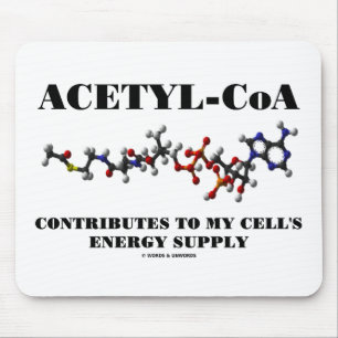 Acetyl-CoA bidrar till min cells energiförsörjni Musmatta