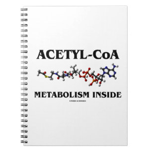 Acetyl- CoA metabolism insida (kemisk molekyl) Anteckningsbok Med Spiral