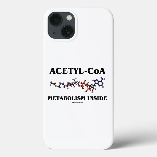 Acetyl- CoA metabolism inuti kemisk molekyl (Baksida)