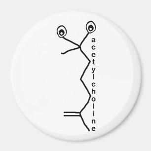 acetylkolinmagnet magnet