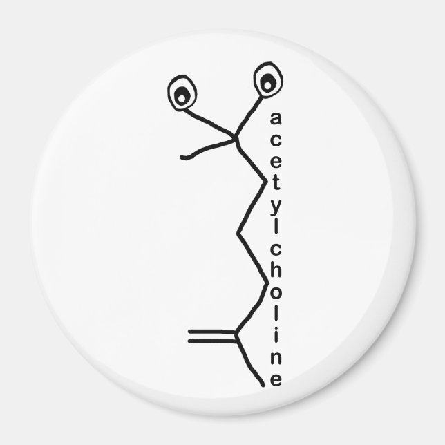 acetylkolinmagnet magnet (Framsidan)