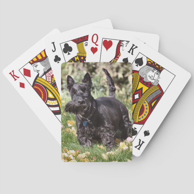 Ach Casinokort (Baksidan)