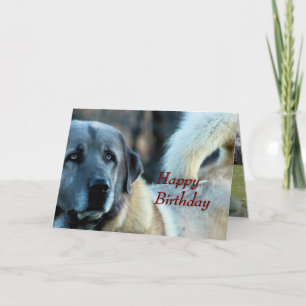Achai Birthday Card - anpassa alla tillfälle Kort