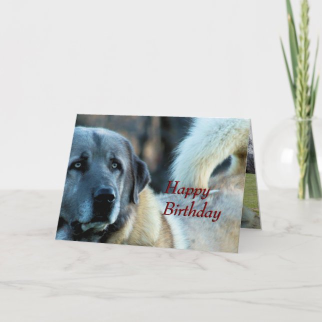 Achai Birthday Card - anpassa alla tillfälle Kort (Framsida)