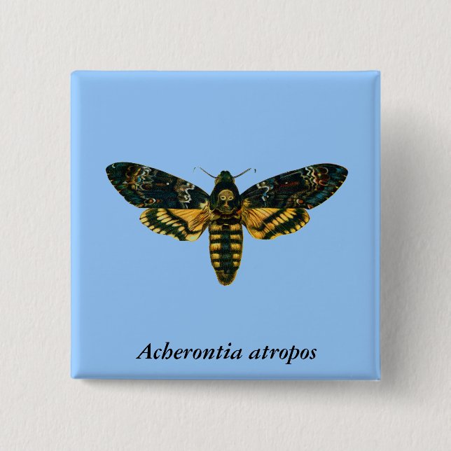 Acherontia atropos (Dödschef Hawkmoth) Knapp (Framsida)