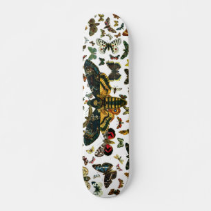 Acherontia atropos mini skateboard bräda 18,7 cm