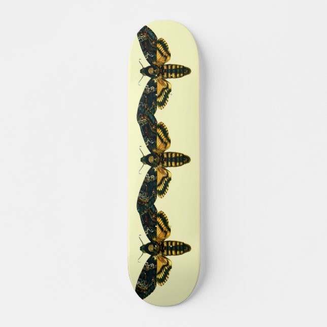 Acherontia atropos skateboard bräda 19,5 cm (Framsida)