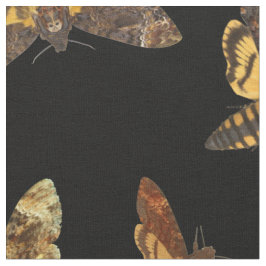 AcherontiaLachesis - Död-huvud Hawkmoth Tyg