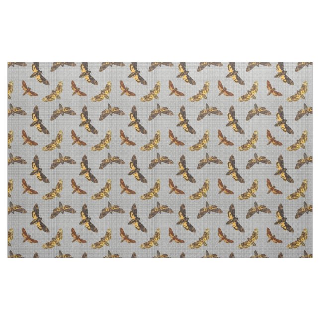 AcherontiaLachesis - Död-huvud Hawkmoth Tyg (Yard)