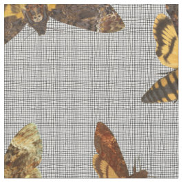 AcherontiaLachesis - Död-huvud Hawkmoth Tyg