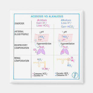 Acidos kontra Alkalos Magnet (icke-flexibel)