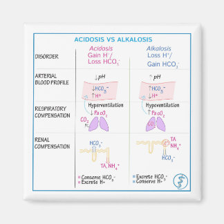 Acidos vs. Alkalosis Magnet (icke-flexibel)