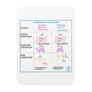 Acidosis vs. Alkalosis Magnet
