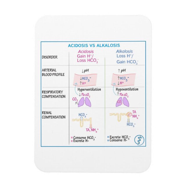 Acidosis vs. Alkalosis Magnet (Vertikal)