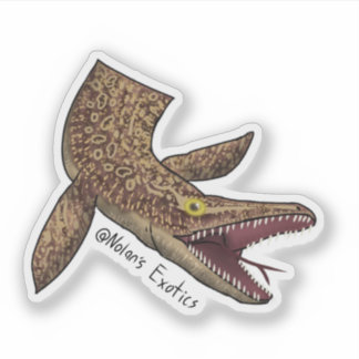 Ackie monitor-Mosasaurus dekal