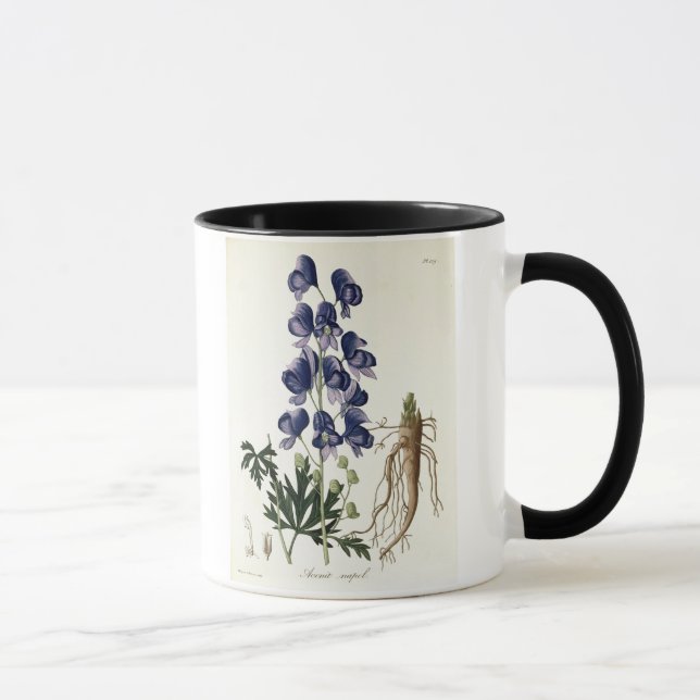 Aconitum Napellus från "Phytographie Medicale" by Mugg (Höger)