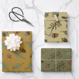 Acorn Bundle