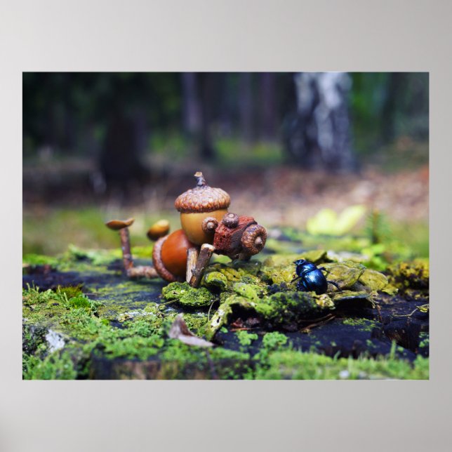 Acorn elf-fotograf med kryp-poster poster (Framsidan)