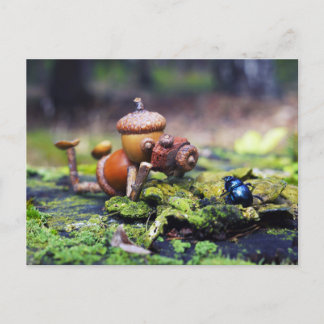 Acorn elf-fotograf med kryp vykort