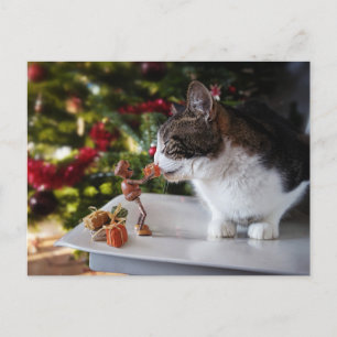 Acorn Elf ge Julklapp till katt Vykort